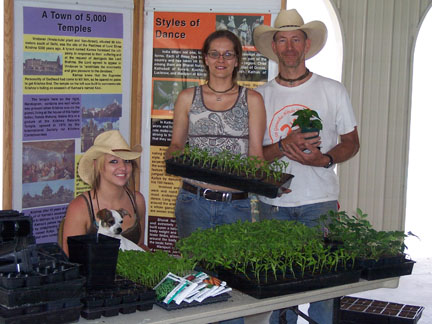 Garden_Seedlings